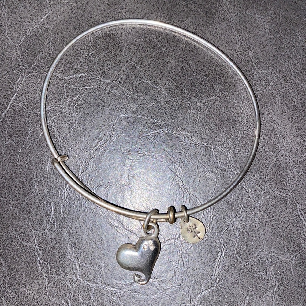 Alex and ani bracelet